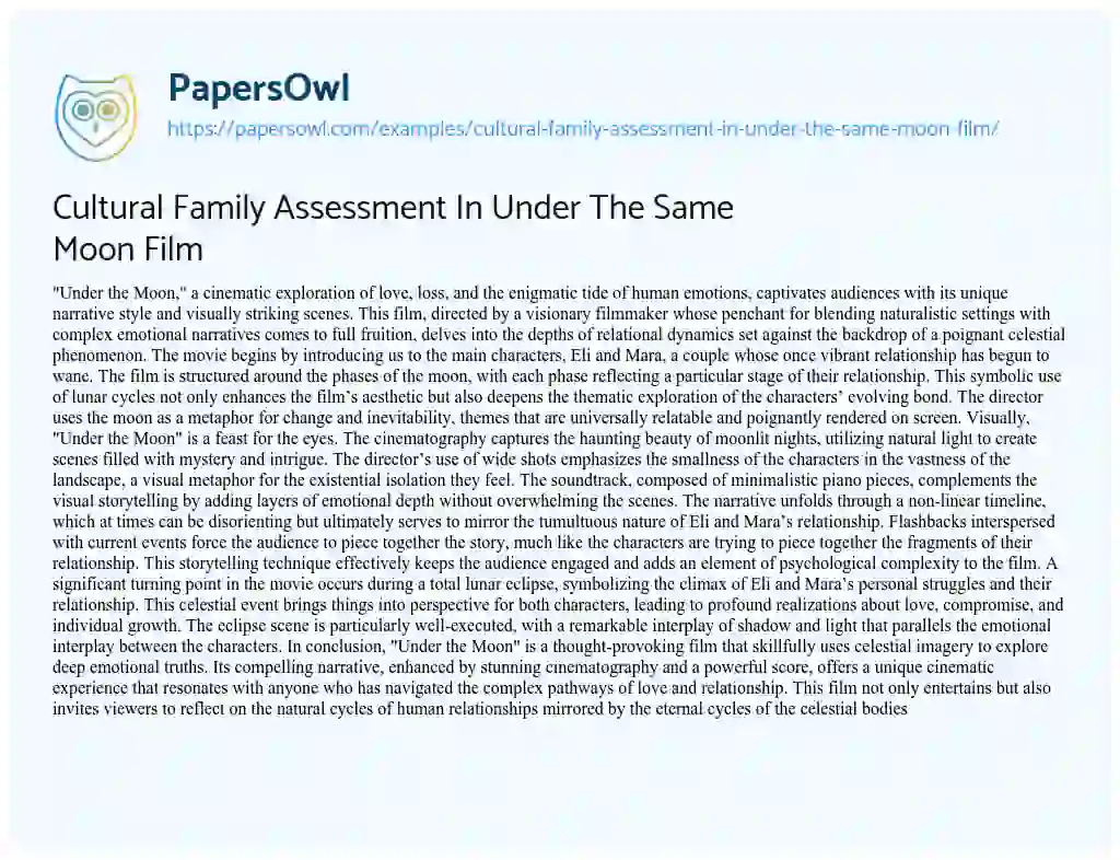 Essay on Cultural Family Assessment In Under The Same Moon Film