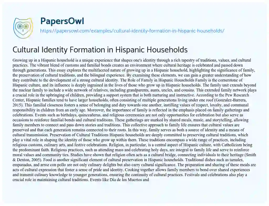 Essay on Cultural Identity Formation in Hispanic Households