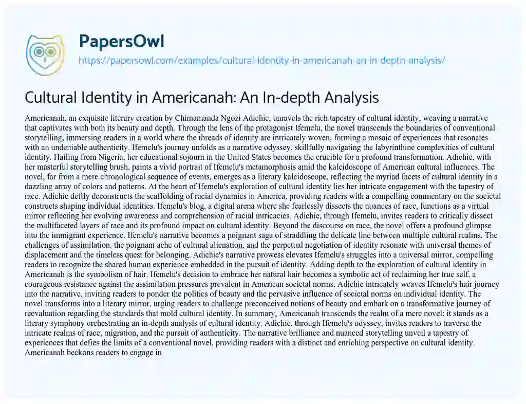 Essay on Cultural Identity in Americanah: an In-depth Analysis