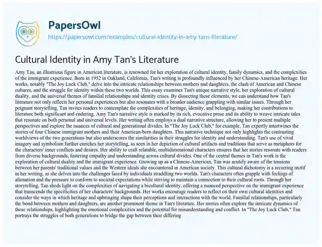 Essay on Cultural Identity in Amy Tan’s Literature