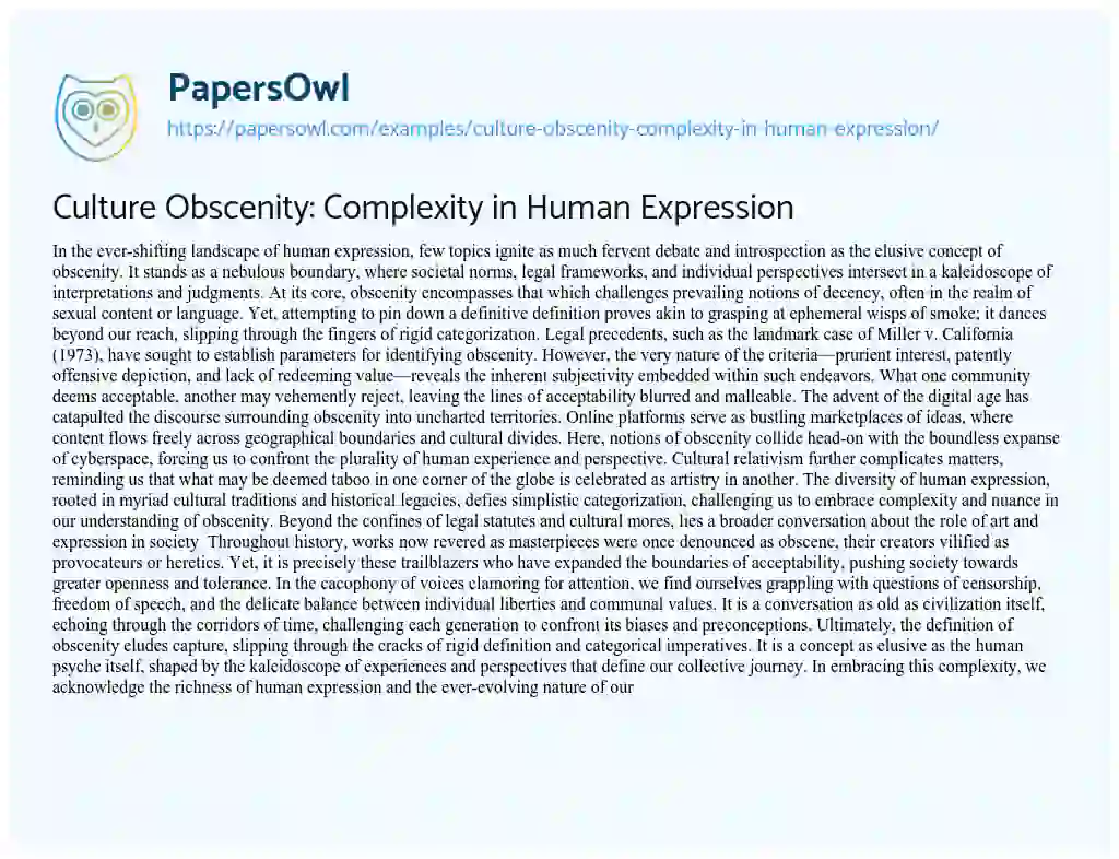 Essay on Culture Obscenity: Complexity in Human Expression