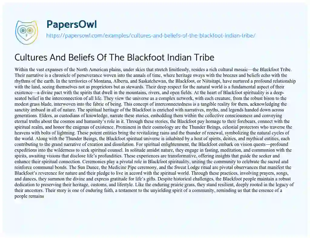 Essay on Cultures and Beliefs of the Blackfoot Indian Tribe