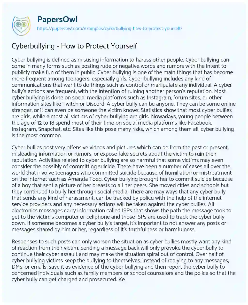 Essay on Cyberbullying – how to Protect yourself