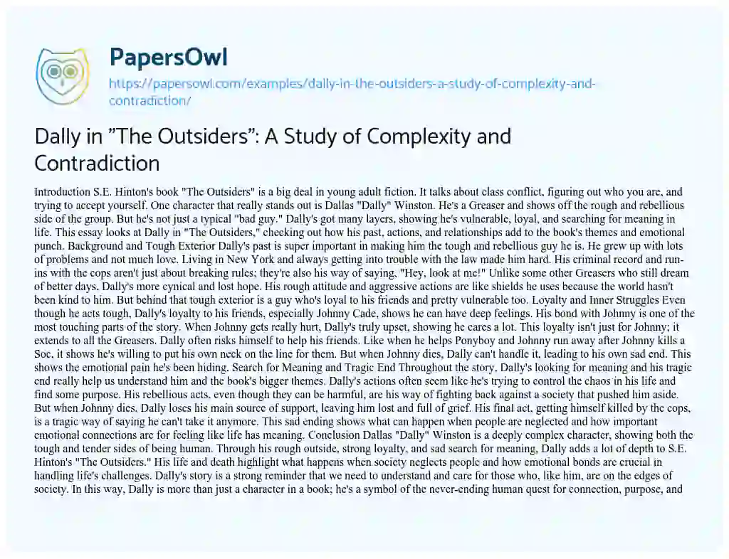 Essay on Dally in “The Outsiders”: a Study of Complexity and Contradiction