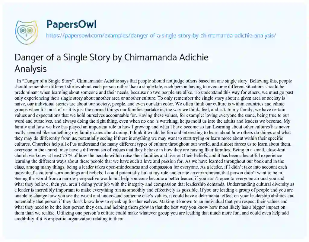 Essay on Danger of a Single Story by Chimamanda Adichie Analysis