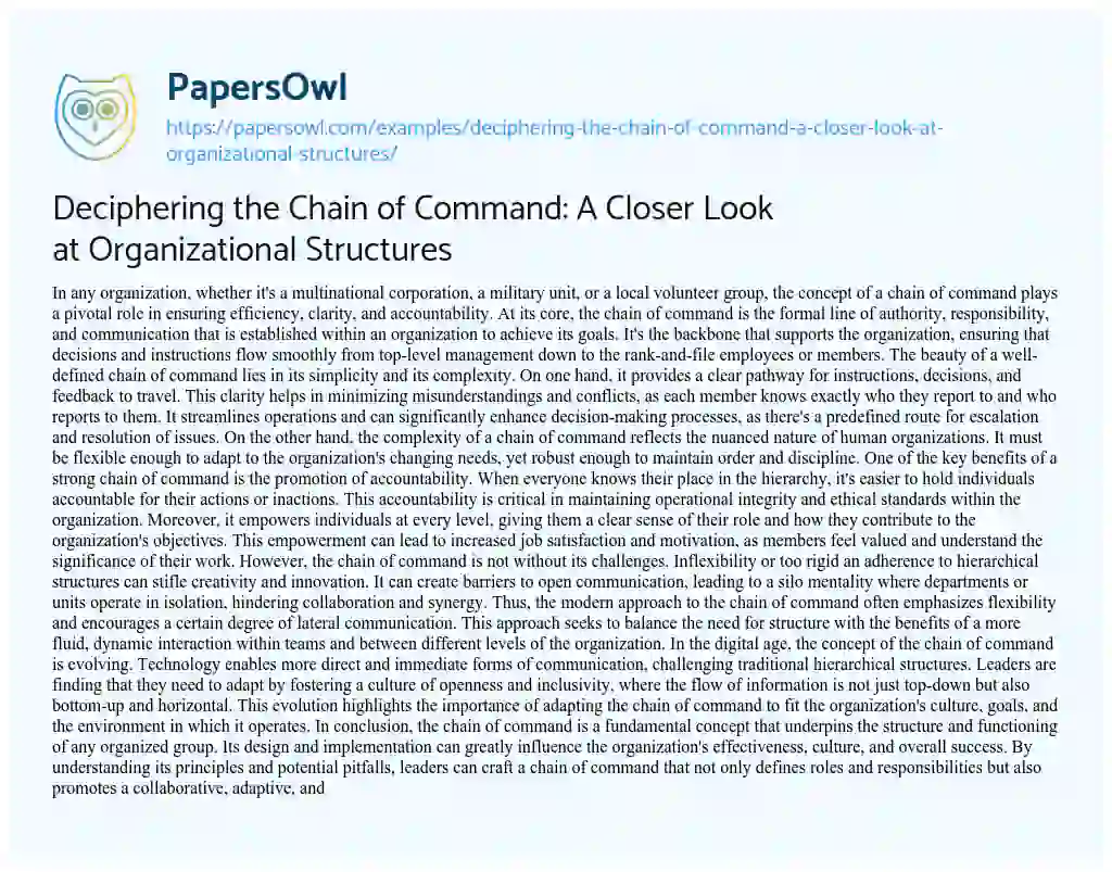 Essay on Deciphering the Chain of Command: a Closer Look at Organizational Structures
