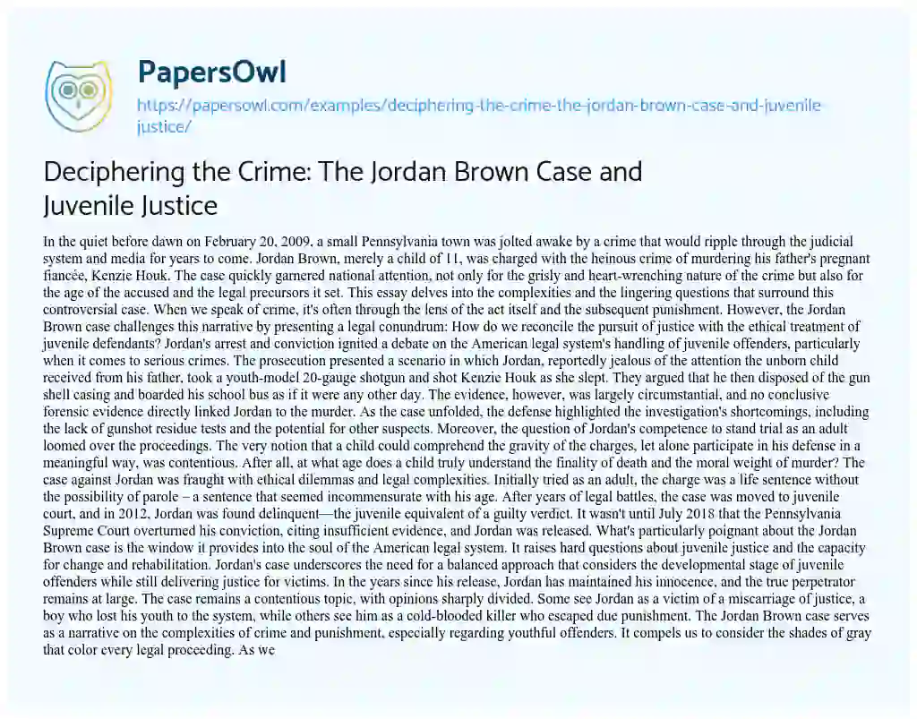 Essay on Deciphering the Crime: the Jordan Brown Case and Juvenile Justice