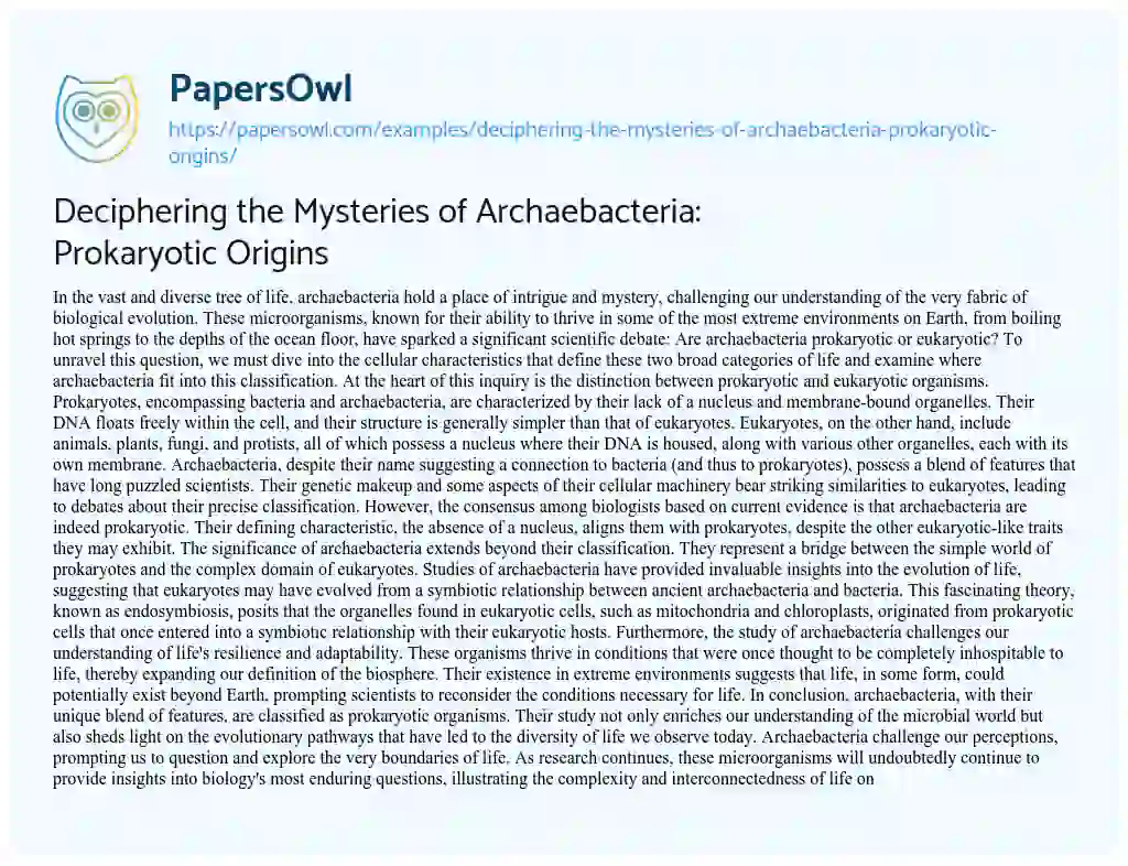 Essay on Deciphering the Mysteries of Archaebacteria: Prokaryotic Origins