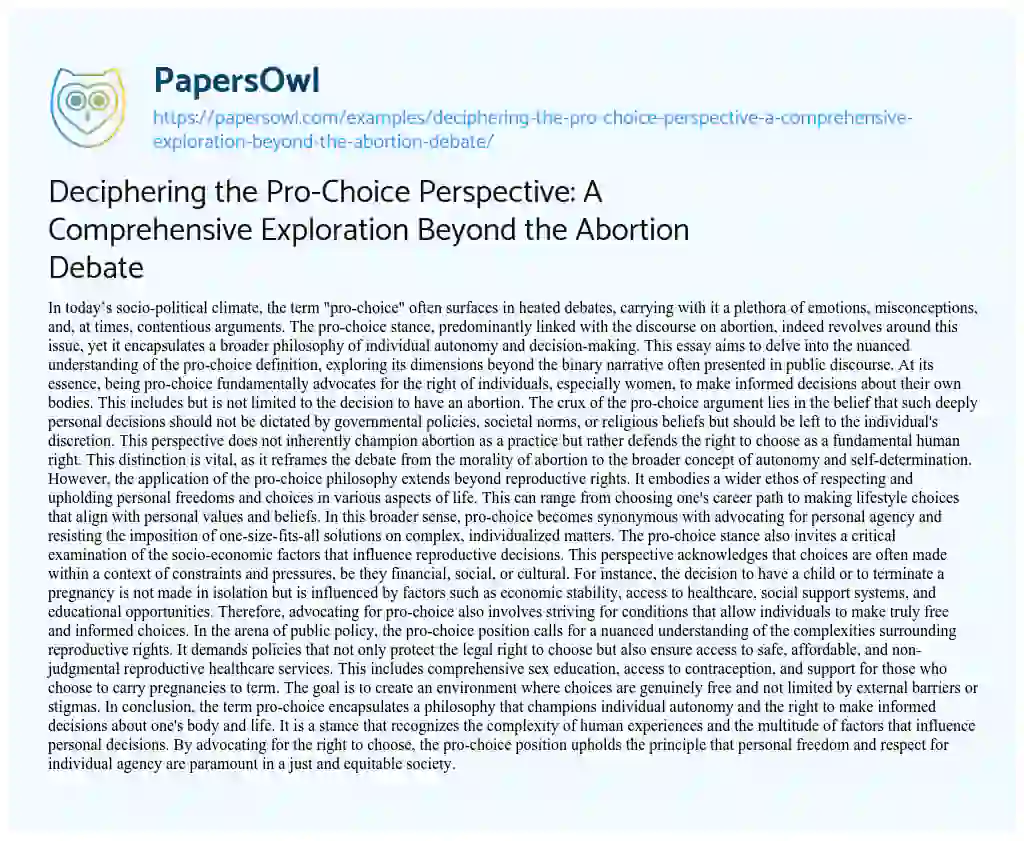 Essay on Deciphering the Pro-Choice Perspective: a Comprehensive Exploration Beyond the Abortion Debate