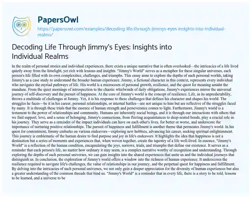 Essay on Decoding Life through Jimmy’s Eyes: Insights into Individual Realms