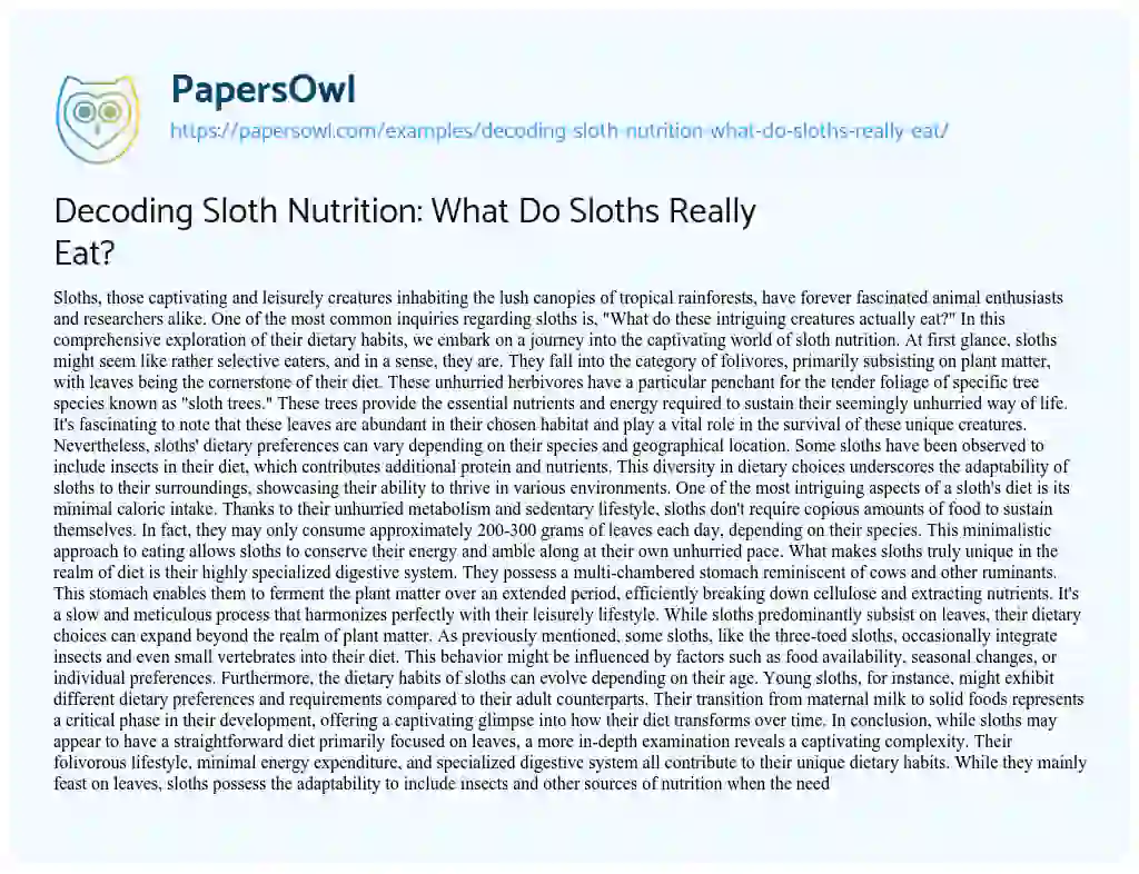 Essay on Decoding Sloth Nutrition: what do Sloths Really Eat?