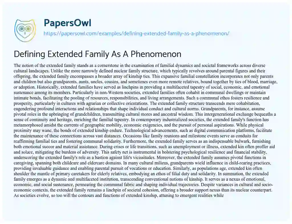 Essay on Defining Extended Family as a Phenomenon