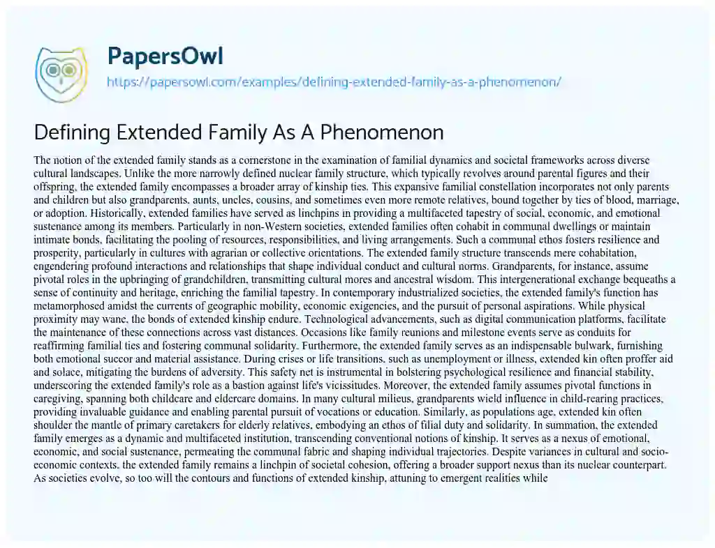 Essay on Defining Extended Family As A Phenomenon