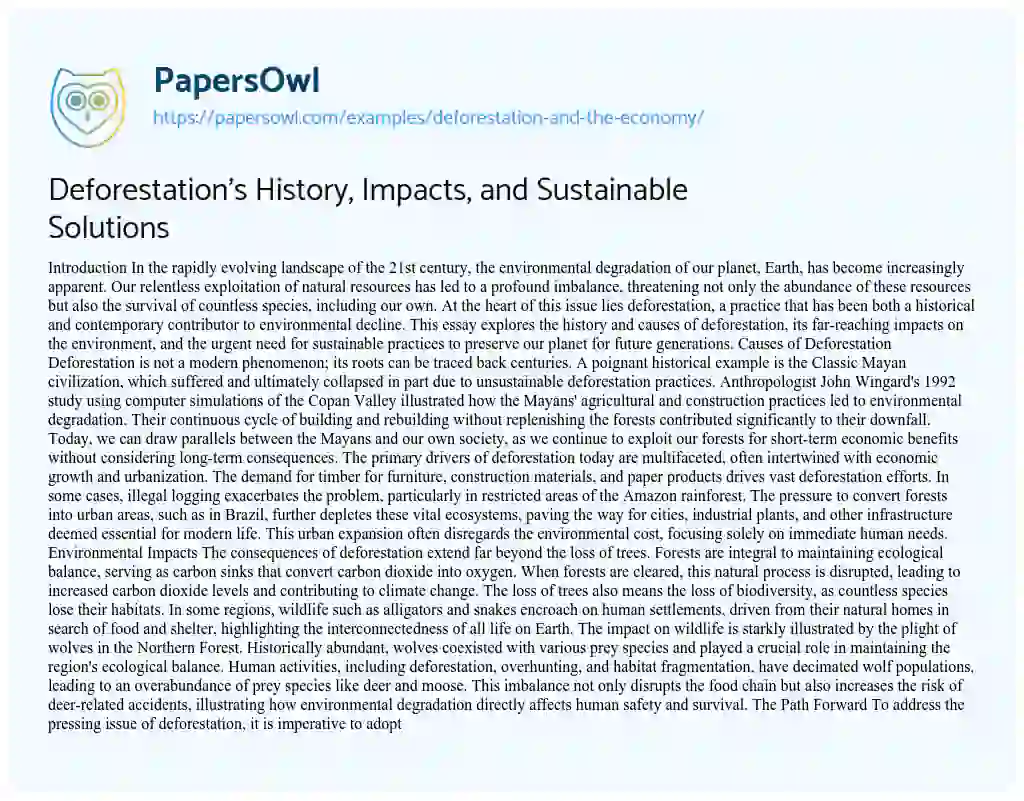 Essay on Deforestation and the Economy