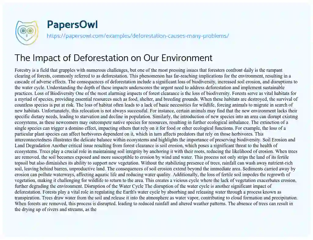 Essay on Deforestation Causes Many Problems