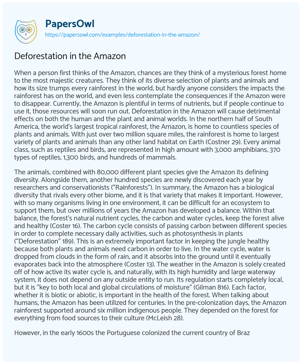 Essay on Deforestation in the Amazon