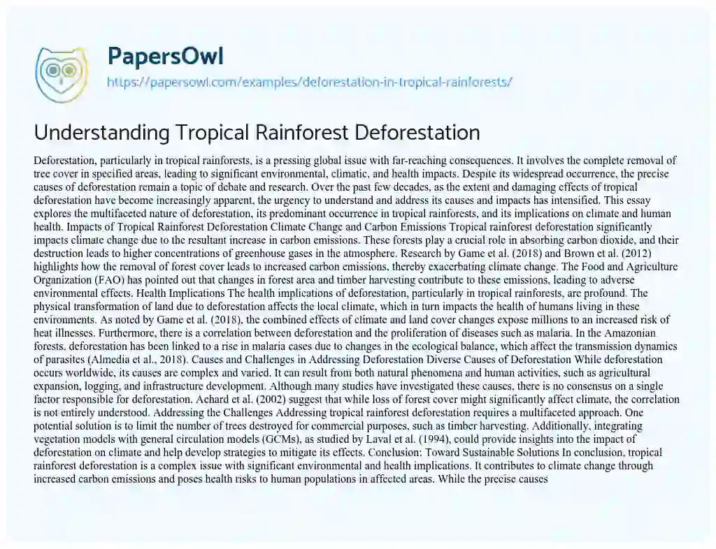 Essay on Deforestation in Tropical Rainforests