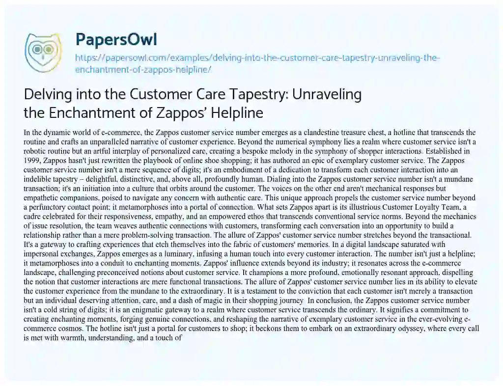 Essay on Delving into the Customer Care Tapestry: Unraveling the Enchantment of Zappos’ Helpline