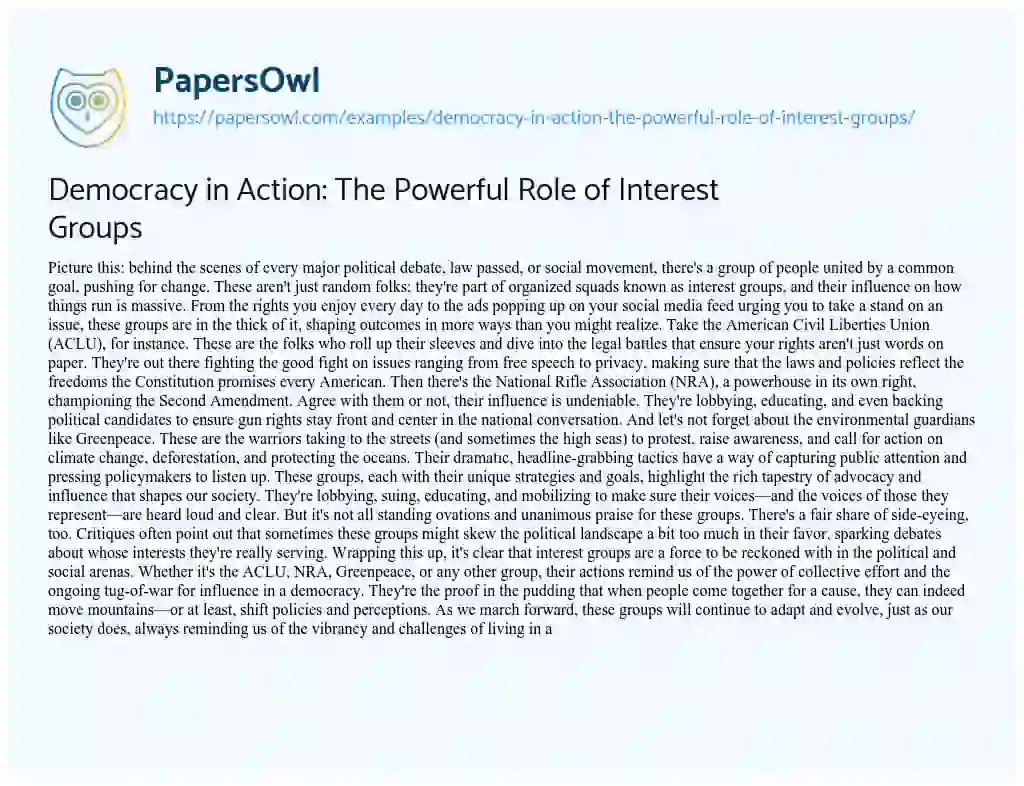 Essay on Democracy in Action: the Powerful Role of Interest Groups
