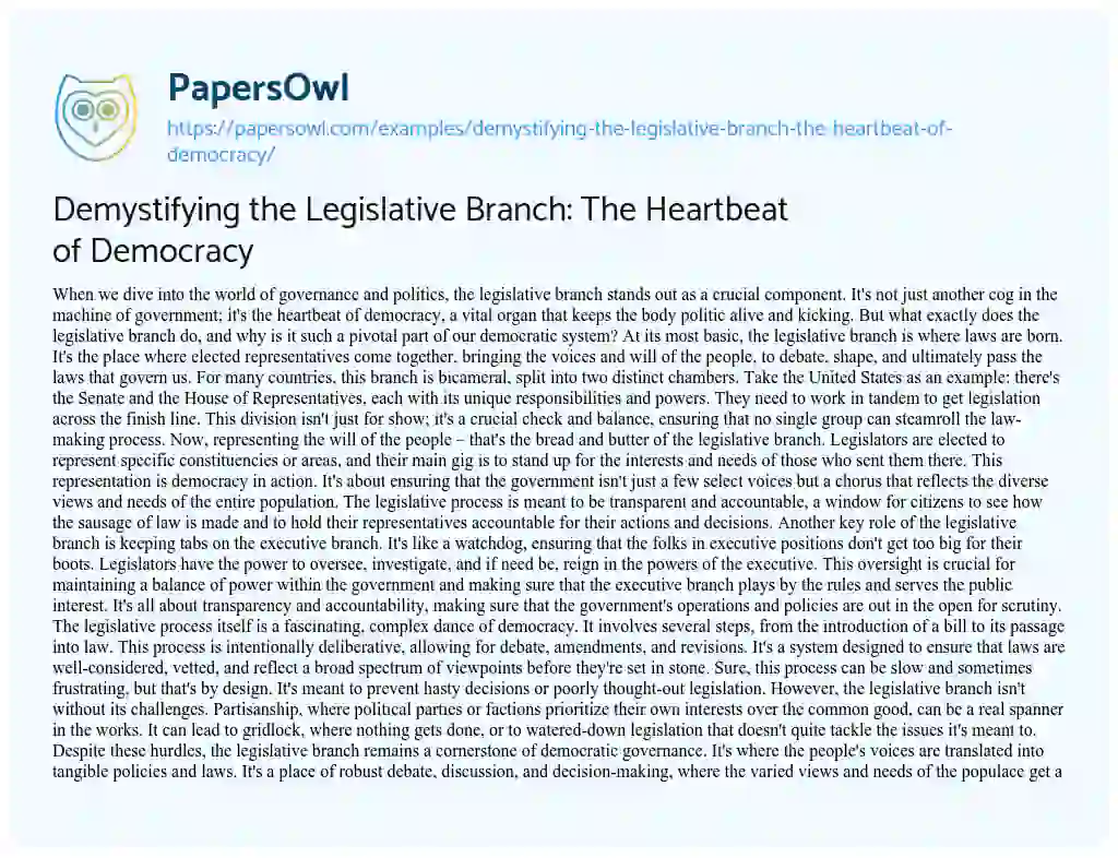 Essay on Demystifying the Legislative Branch: the Heartbeat of Democracy