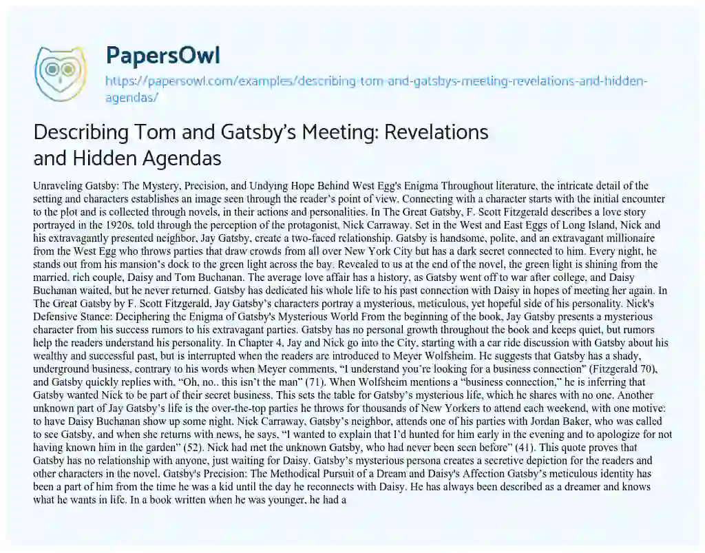 Essay on Describing Tom and Gatsby’s Meeting: Revelations and Hidden Agendas