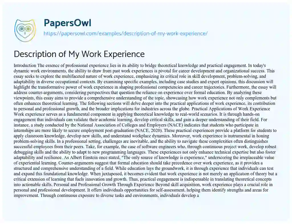 Essay on Description of My Work Experience