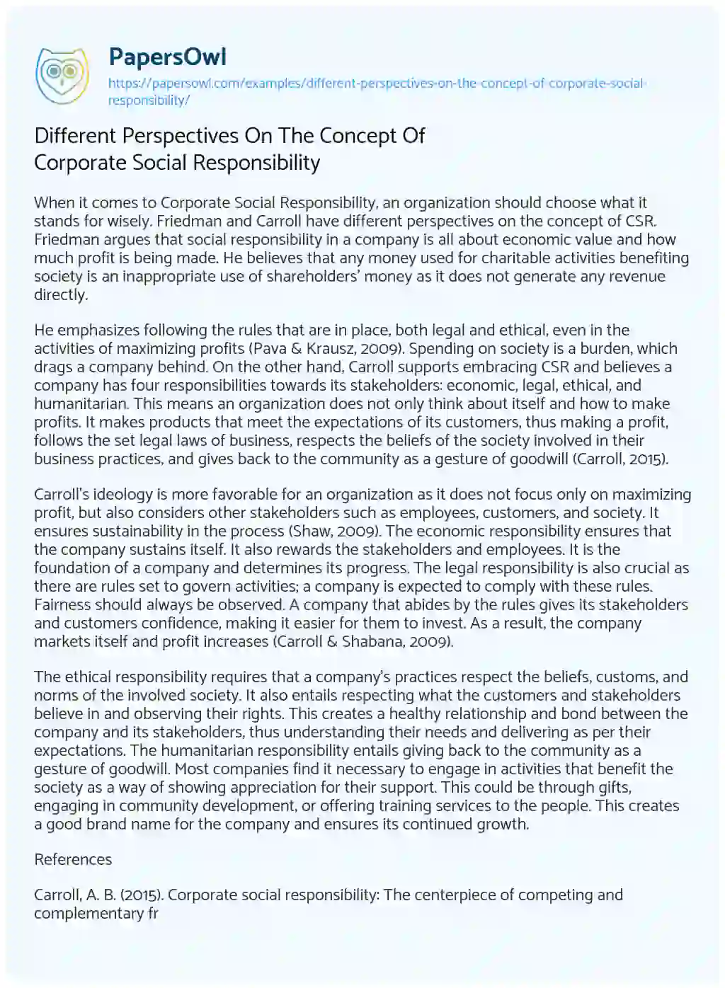 Essay on Different Perspectives on the Concept of Corporate Social Responsibility