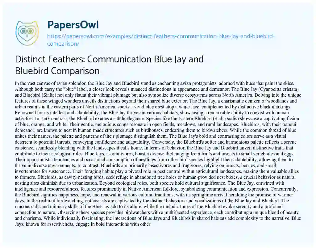 Essay on Distinct Feathers: Communication Blue Jay and Bluebird Comparison