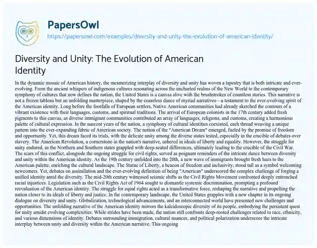 Essay on Diversity and Unity: the Evolution of American Identity