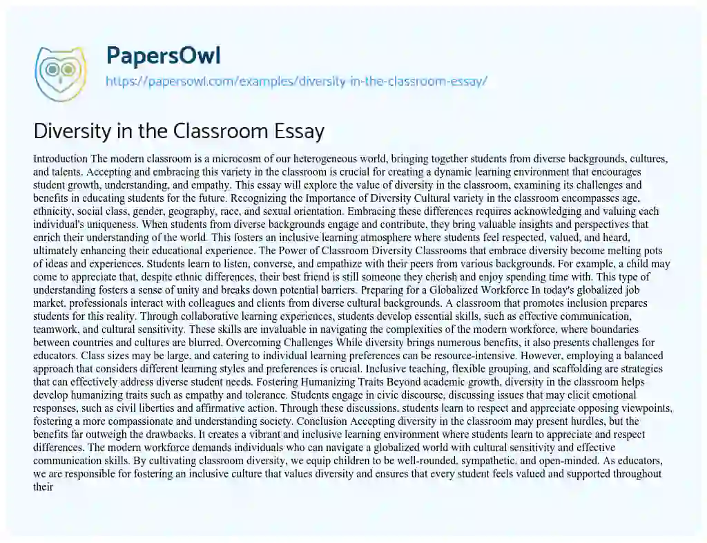 Essay on Diversity in the Classroom Essay