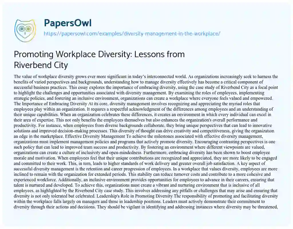 Essay on Diversity Management in the Workplace