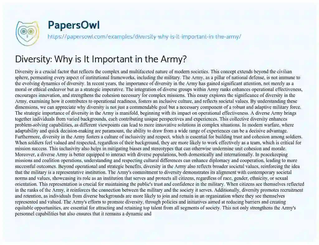 Essay on Diversity: Why is It Important in the Army?