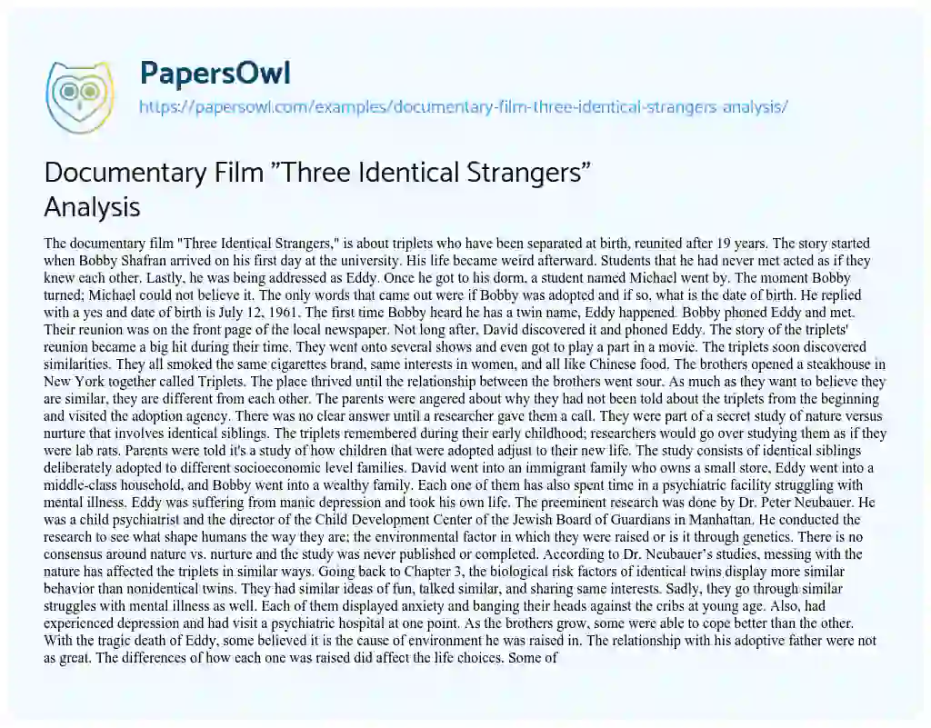 Essay on Documentary Film “Three Identical Strangers” Analysis