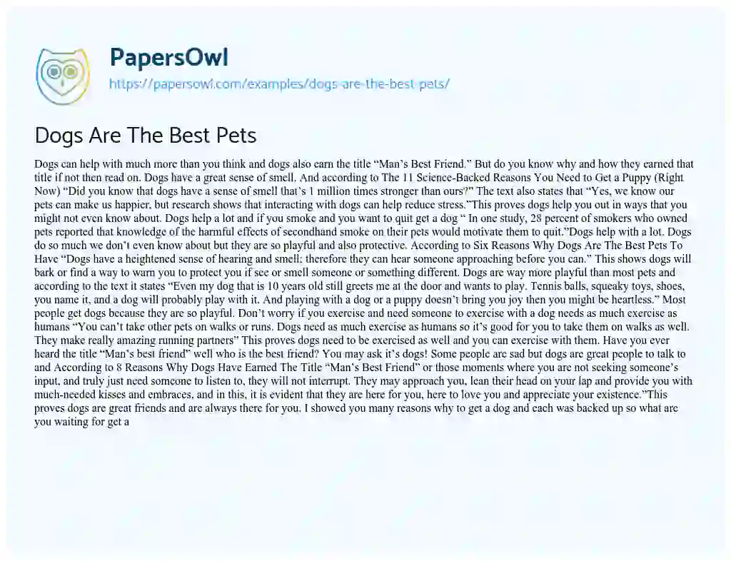 Dogs are the Best Pets essay