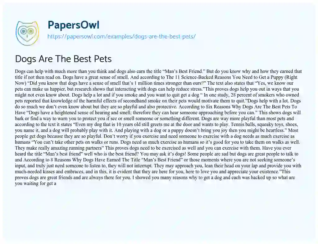 ideal pet essay