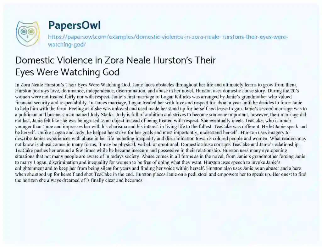 Domestic Violence in Zora Neale Hurston’s their Eyes were Watching God essay
