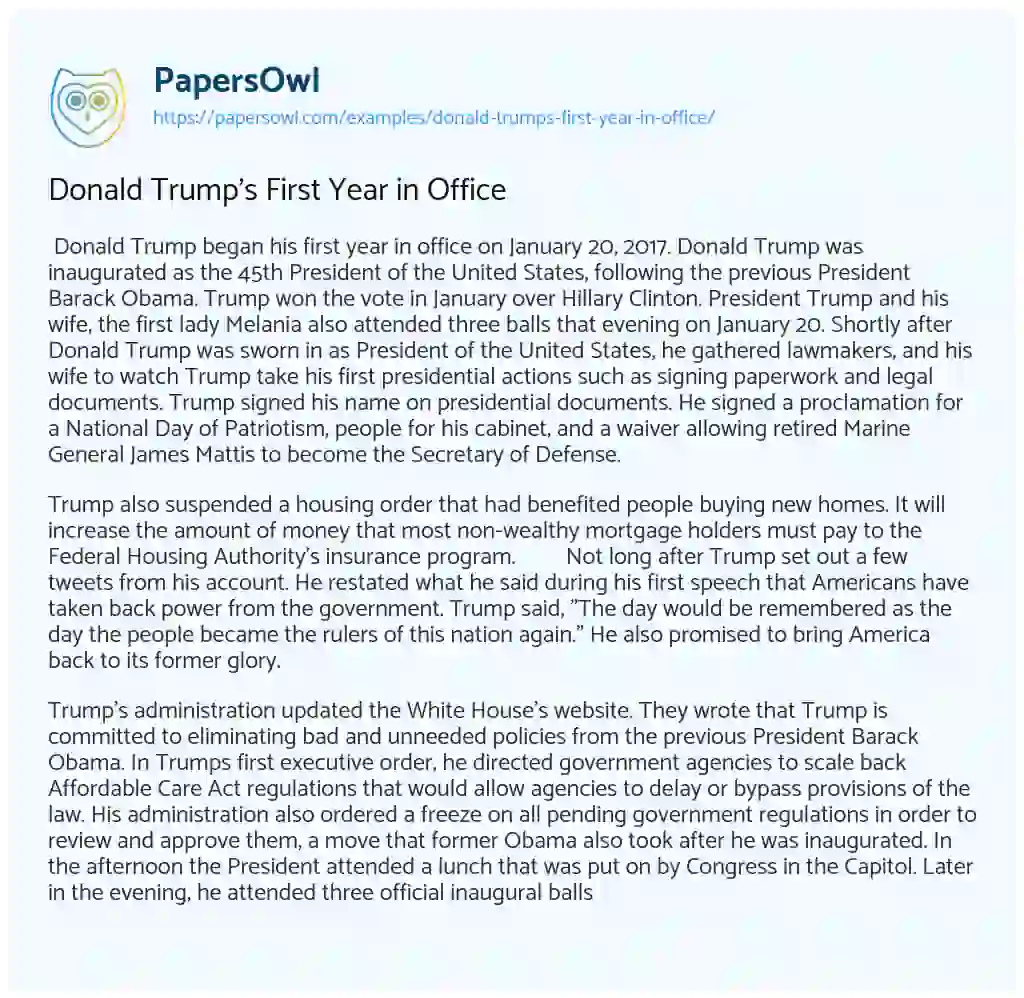 Essay on Donald Trump’s First Year in Office