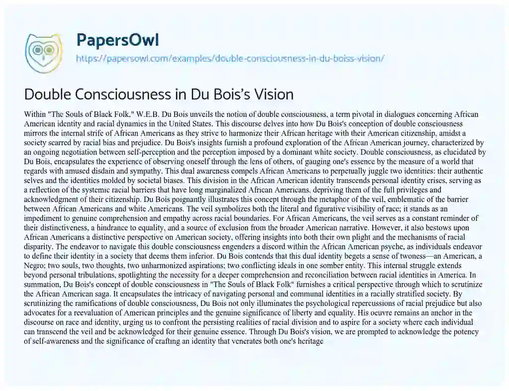 Essay on Double Consciousness in Du Bois’s Vision