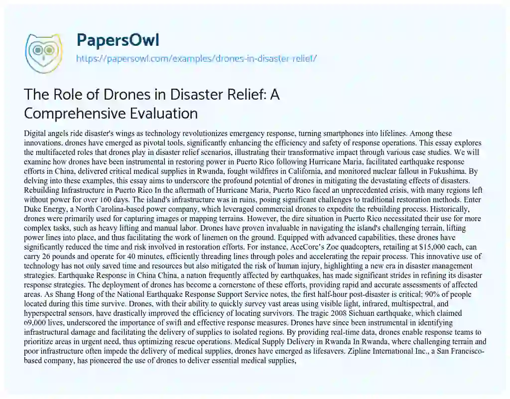 Essay on Drones in Disaster Relief