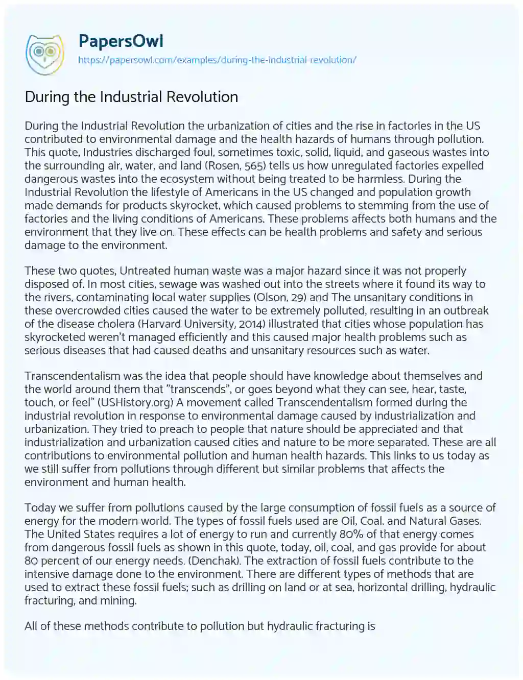 Essay on During the Industrial Revolution