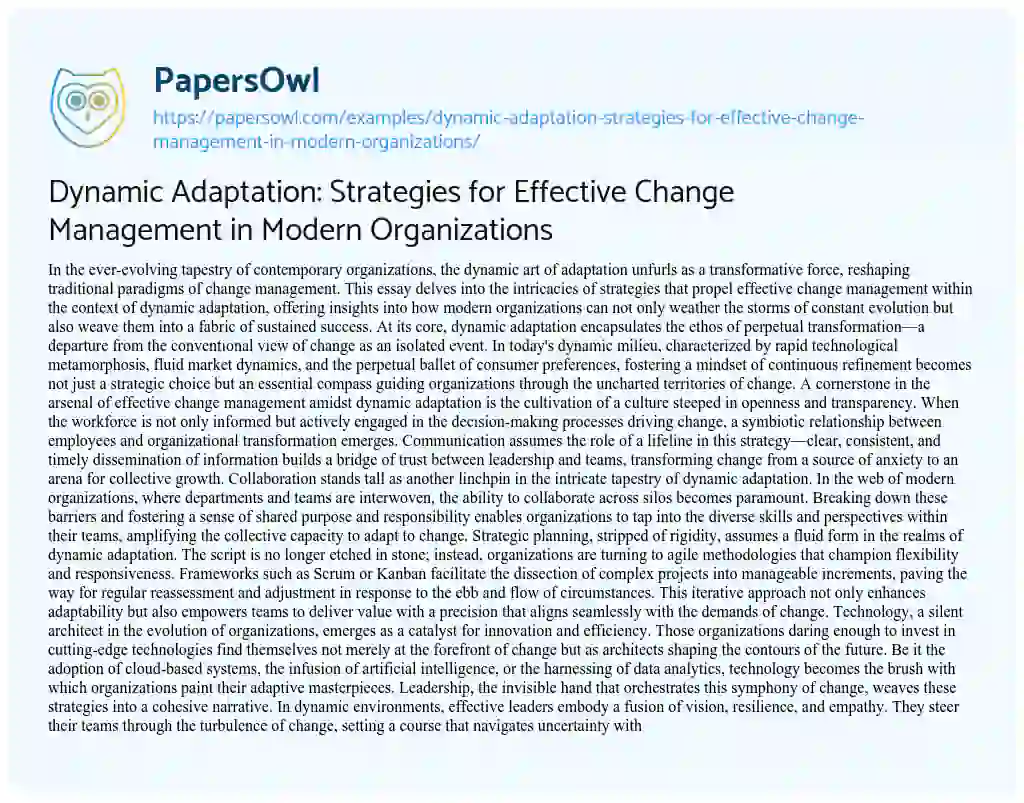 Essay on Dynamic Adaptation: Strategies for Effective Change Management in Modern Organizations