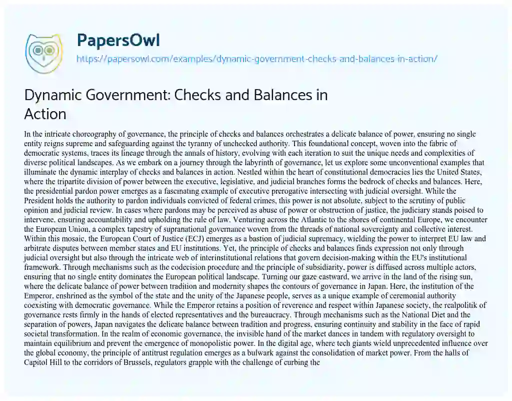 Essay on Dynamic Government: Checks and Balances in Action