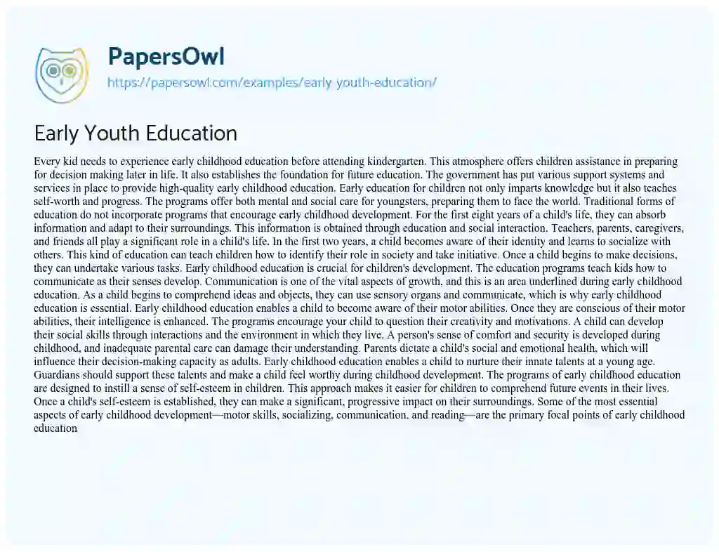 Essay on Early Youth Education