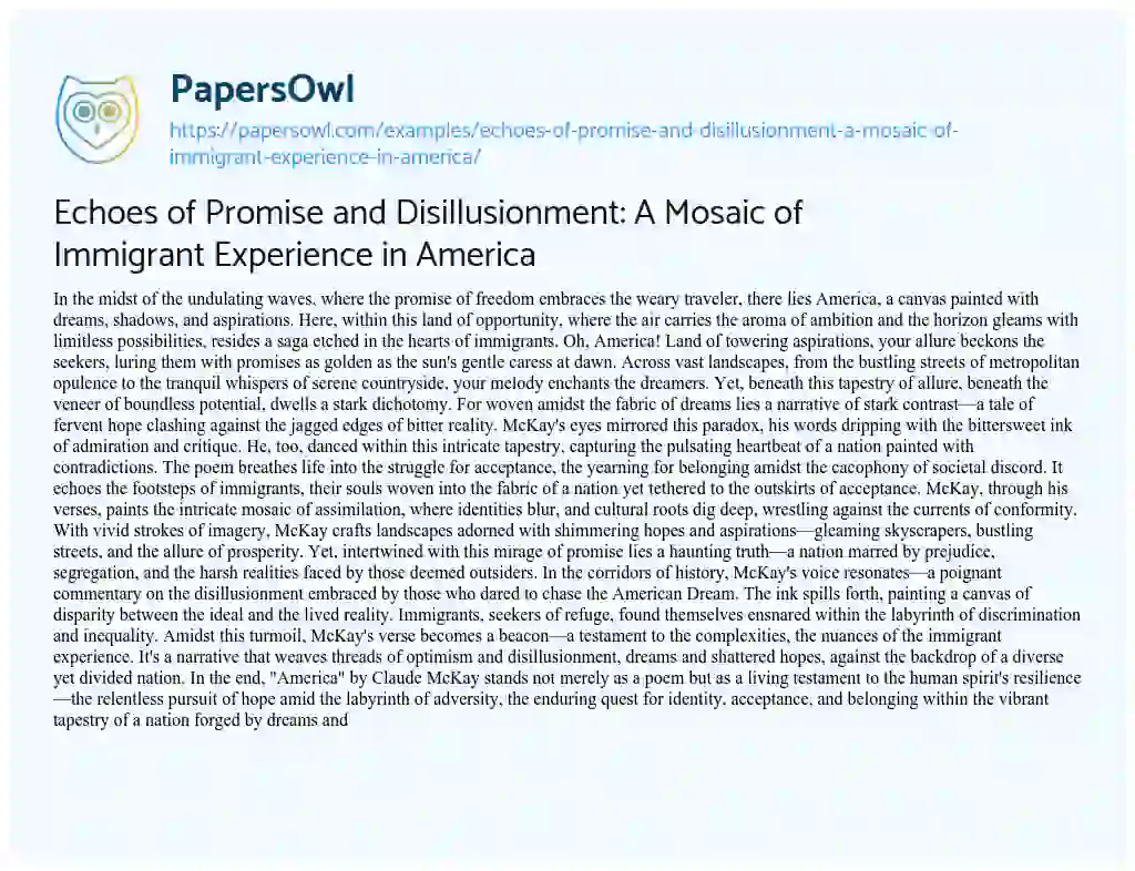 Essay on Echoes of Promise and Disillusionment: a Mosaic of Immigrant Experience in America