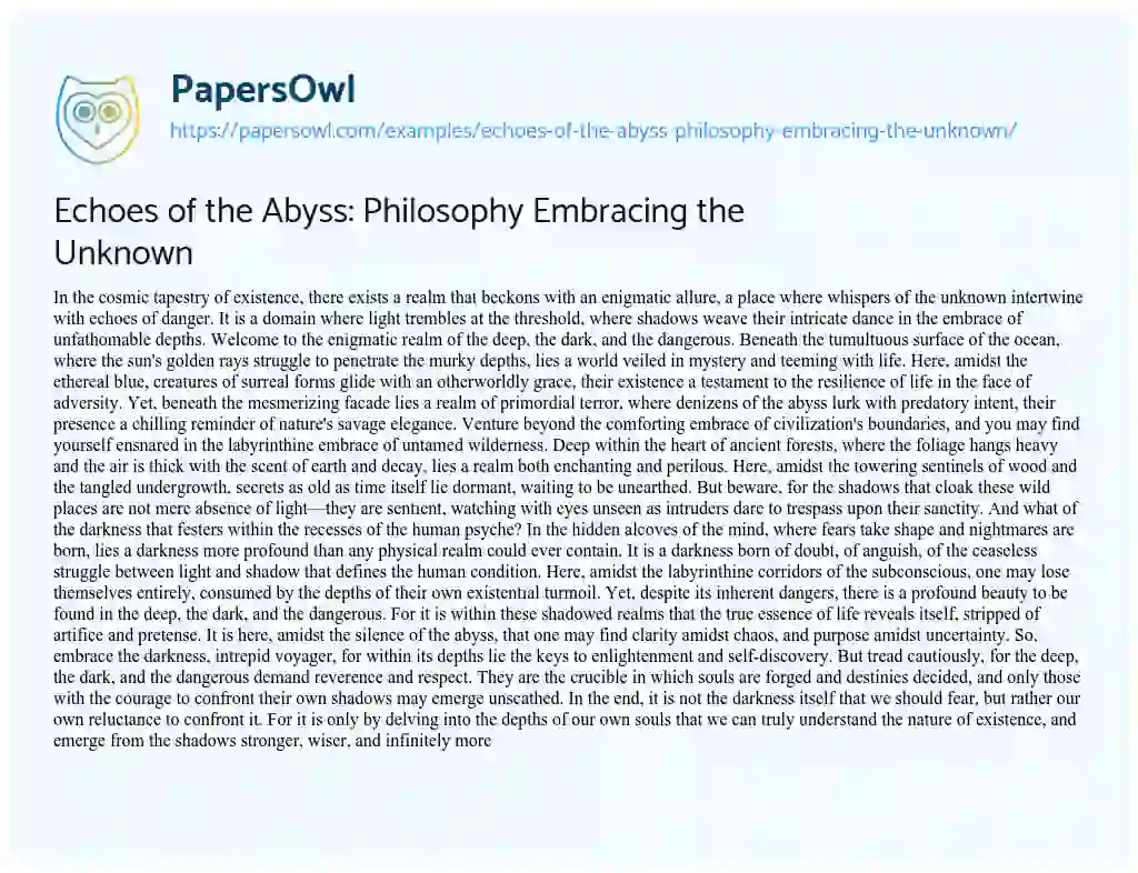 Essay on Echoes of the Abyss: Philosophy Embracing the Unknown