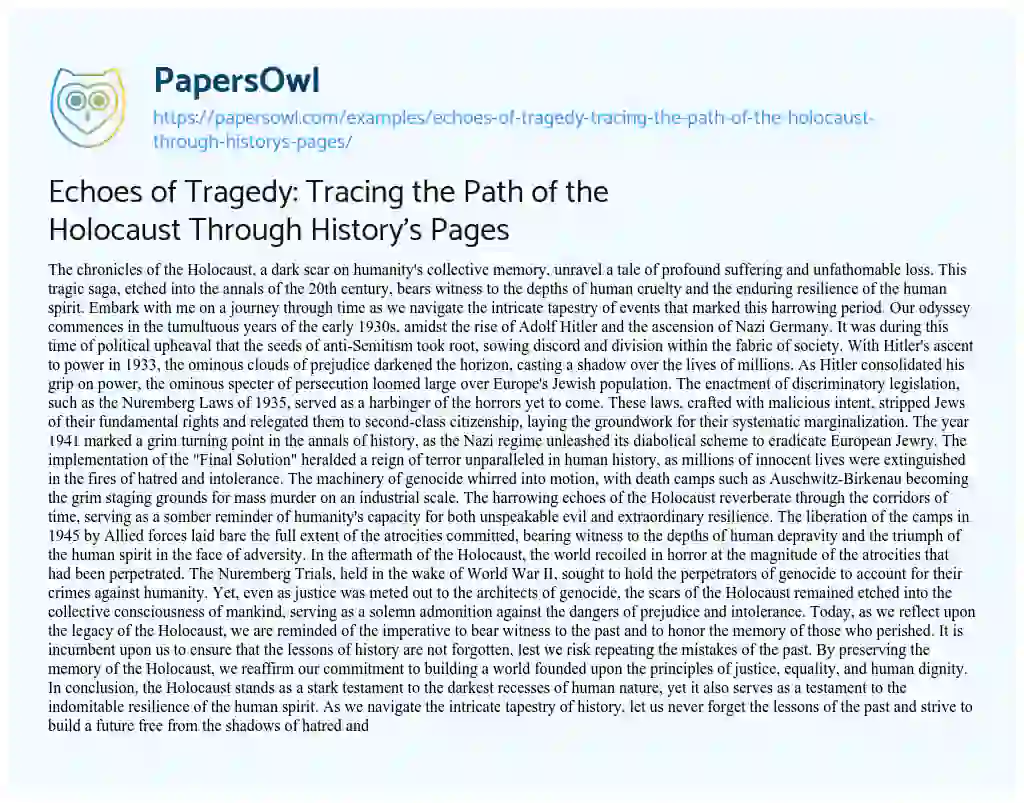 Essay on Echoes of Tragedy: Tracing the Path of the Holocaust through History’s Pages