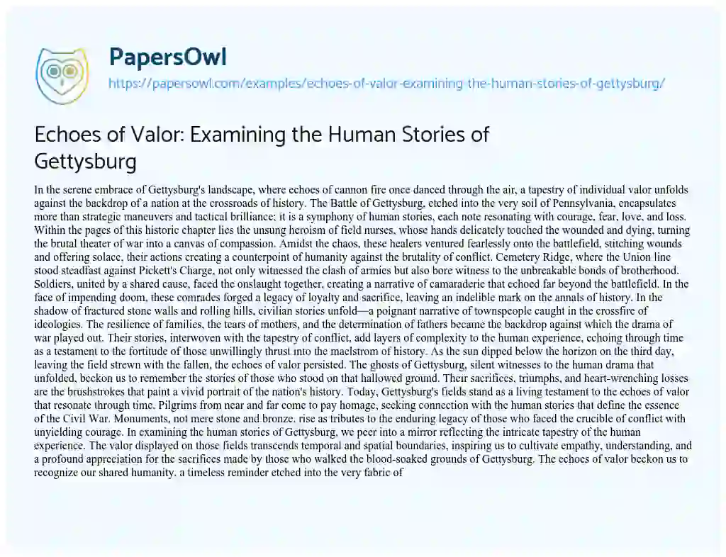 Essay on Echoes of Valor: Examining the Human Stories of Gettysburg