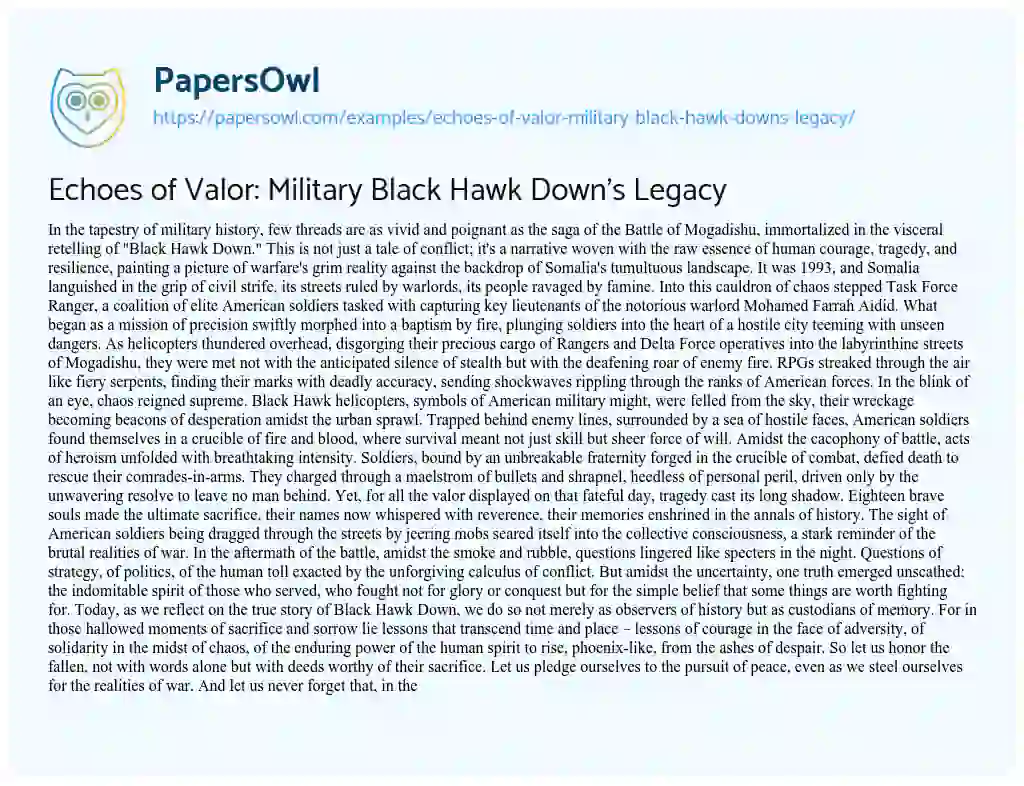 Essay on Echoes of Valor: Military Black Hawk Down’s Legacy
