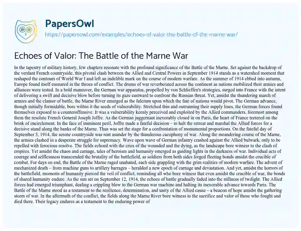 Essay on Echoes of Valor: the Battle of the Marne War