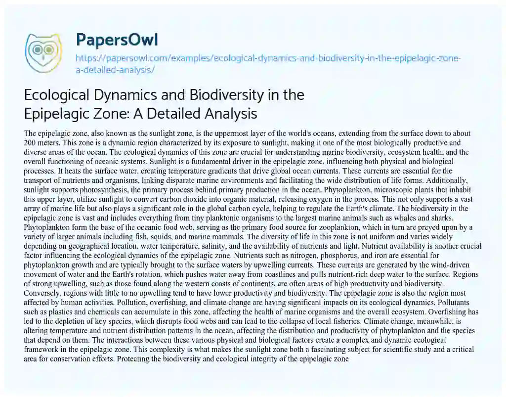 Essay on Ecological Dynamics and Biodiversity in the Epipelagic Zone: a Detailed Analysis